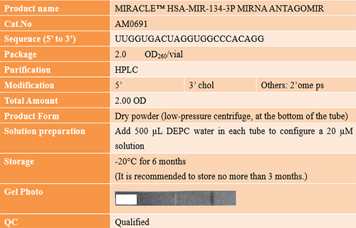 AcceGen success case: MIRACLE™ HSA-MIR-134-3P MIRNA ANTAGOMIR