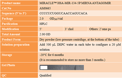 AcceGen success case: MIRACLE™ HSA-MIR-134-5P MIRNA ANTAGOMIR