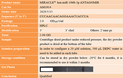 AcceGen success case: MIRACLE™ HSA-MIR-196b-5p MIRNA ANTAGOMIR