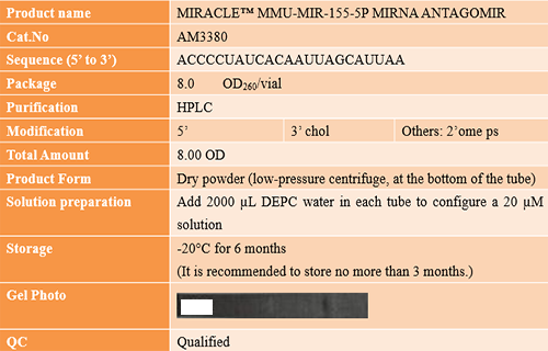 AcceGen success case: MIRACLE™ HSA-MIR-155-5P MIRNA ANTAGOMIR