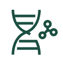 MicroRNA Agomir and Antagomir	