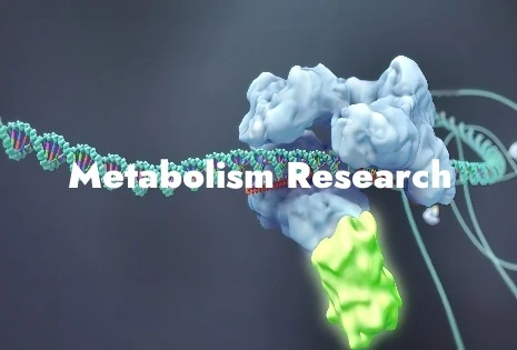 Driving Metabolic Research Forward: Premium Cell Lines for Comprehensive Metabolism Studies