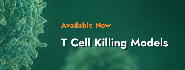 Available now graphic for t cell killing models cell research product