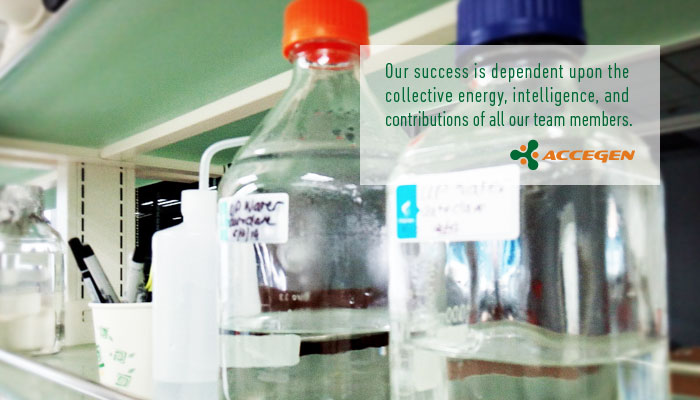 AcceGen Value Collaboration: Our success is dependent upon the collective energy, intelligence, and contributions of all of our team members.