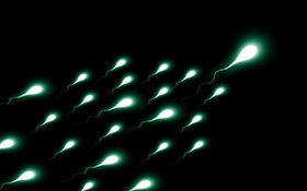 AcceGen Reproductive System Primary Cells
