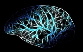 AcceGen Respiratory System Primary Cells