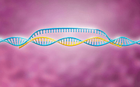 AcceGen Mouse MicroRNA Agomir/Antagomir