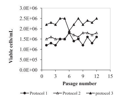 Growth of Vero cells adapted to suspension culture in shake flasks according to 3 different protocols