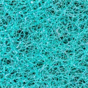 Rat Neonatal Dorsal Root Ganglion (Drg) Neurons