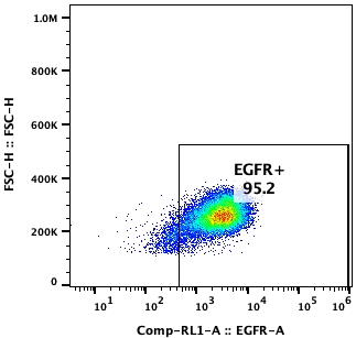 Flow cytometry plot of MDA-MB-157, showing EGFR expression to be 95.2%.
