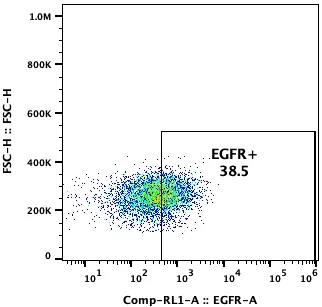 Flow cytometry plot of MDA-MB-175-VII, showing EGFR expression to be 38.5%.