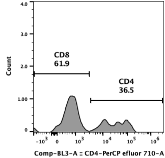 Flow cytometry plot of HBV-PBMC, showing CD4 and CD8 expression to be 36.5% and 61.9% respectively.