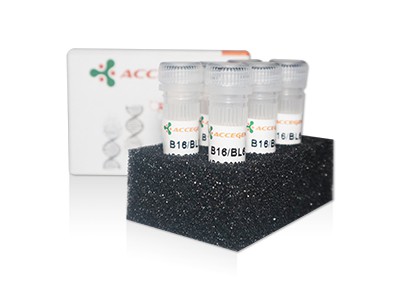 AcceGen product b16 bl6 cell line