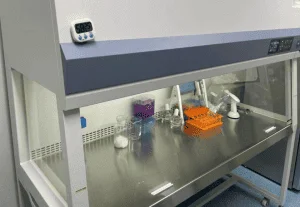 CHO-K1 cell line|AcceGen