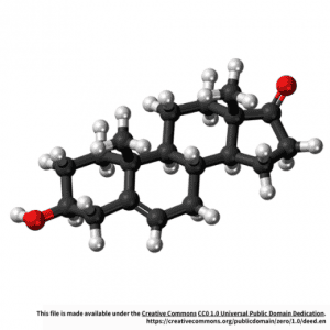 MIRacle™ hsa-miR-100-5p miRNA Agomir/Antagomir 