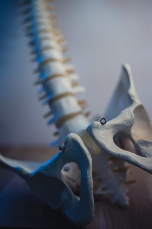 HighQC™ RFP-Human Bone Marrow-Derived Mesenchymal Stem Cell