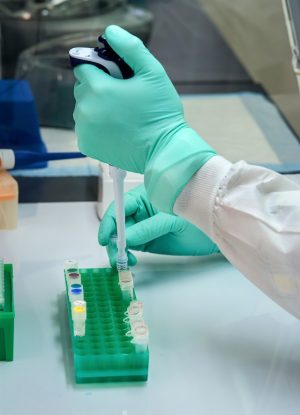 MIRacle™ hsa-miR-653-5p miRNA Agomir/Antagomir