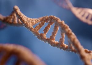MIRacle™ hsa-miR-224-5p miRNA Agomir/Antagomir