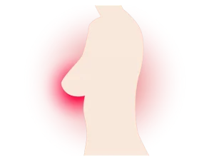 HighQC™ Human (Parental) Breast Cancer Stem Cell