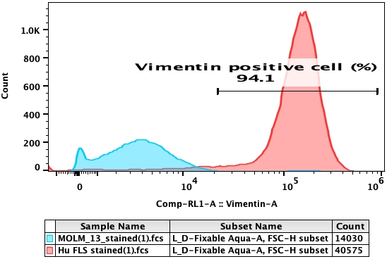Flow cytometry plot of Human Fibroblast-Like Synoviocyte Normal Tissue, Adult, showing vimentin expression to be 94.1%.