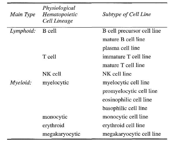 Classification of leukemia cell lines