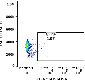 Flow cytometry plot of Akata-EGFP Reporter Cell Line, showing EGFP expression to be 99.3%.