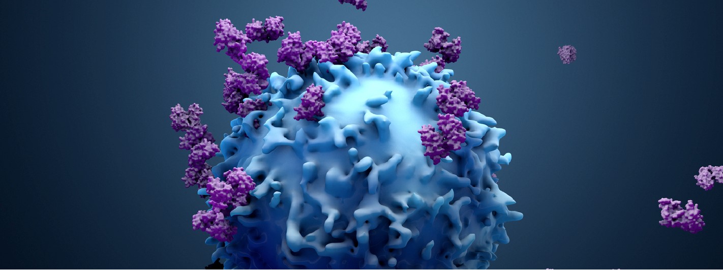 Antibody Development