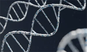 MicroRNA Sponge Service