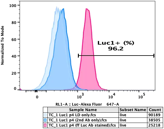 Flow cytometry plot of TC-1 Luciferase Reporter Cell Line, showing luciferase expression to be 96.2%.