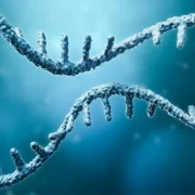 MicroRNA