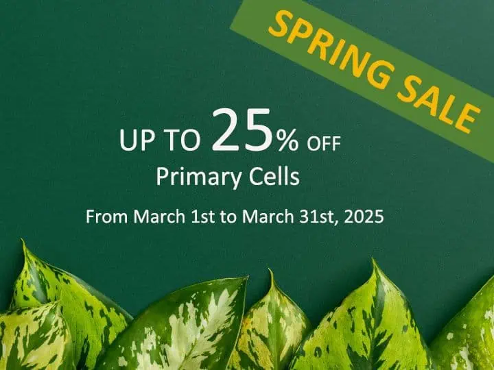 Spring Vitality, New Opportunities for Scientific Research