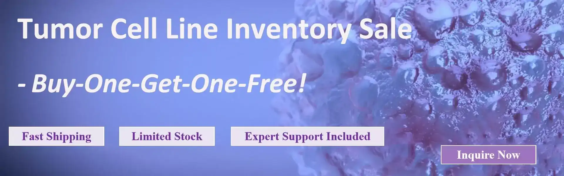 Tumor Cell Line Inventory Sale – Unlock More Value for Your Research!