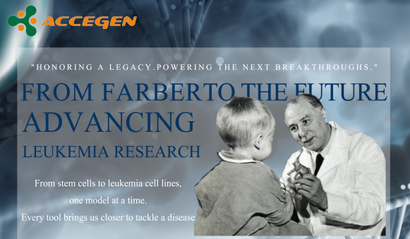 From Farber’s Breakthrough to Tomorrow’s Cure: Advancing Leukemia Research with AcceGen