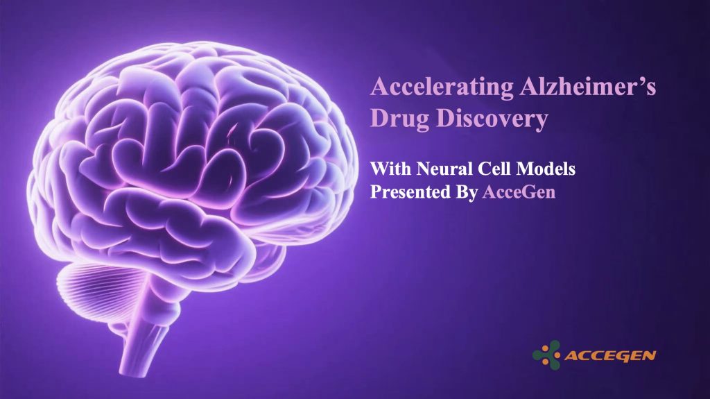 Alzheimer’s Drug Development：The Critical Role of Neural Cell Models in Translational Research