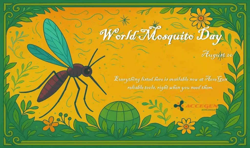 World Mosquito Day: Turning Research Into Solutions with AcceGen’s Vector Biology Tools
