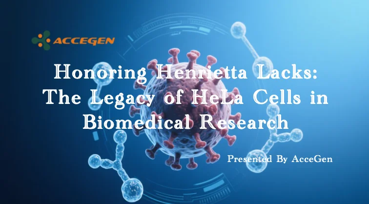Honoring Henrietta Lacks: The Legacy of HeLa Cells in Biomedical Research