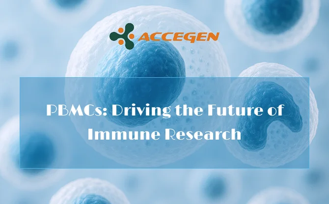 Unlocking the Future of Immune Research with PBMCs