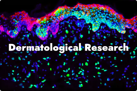 Fluorescent immunostaining of skin tissue for dermatological research.