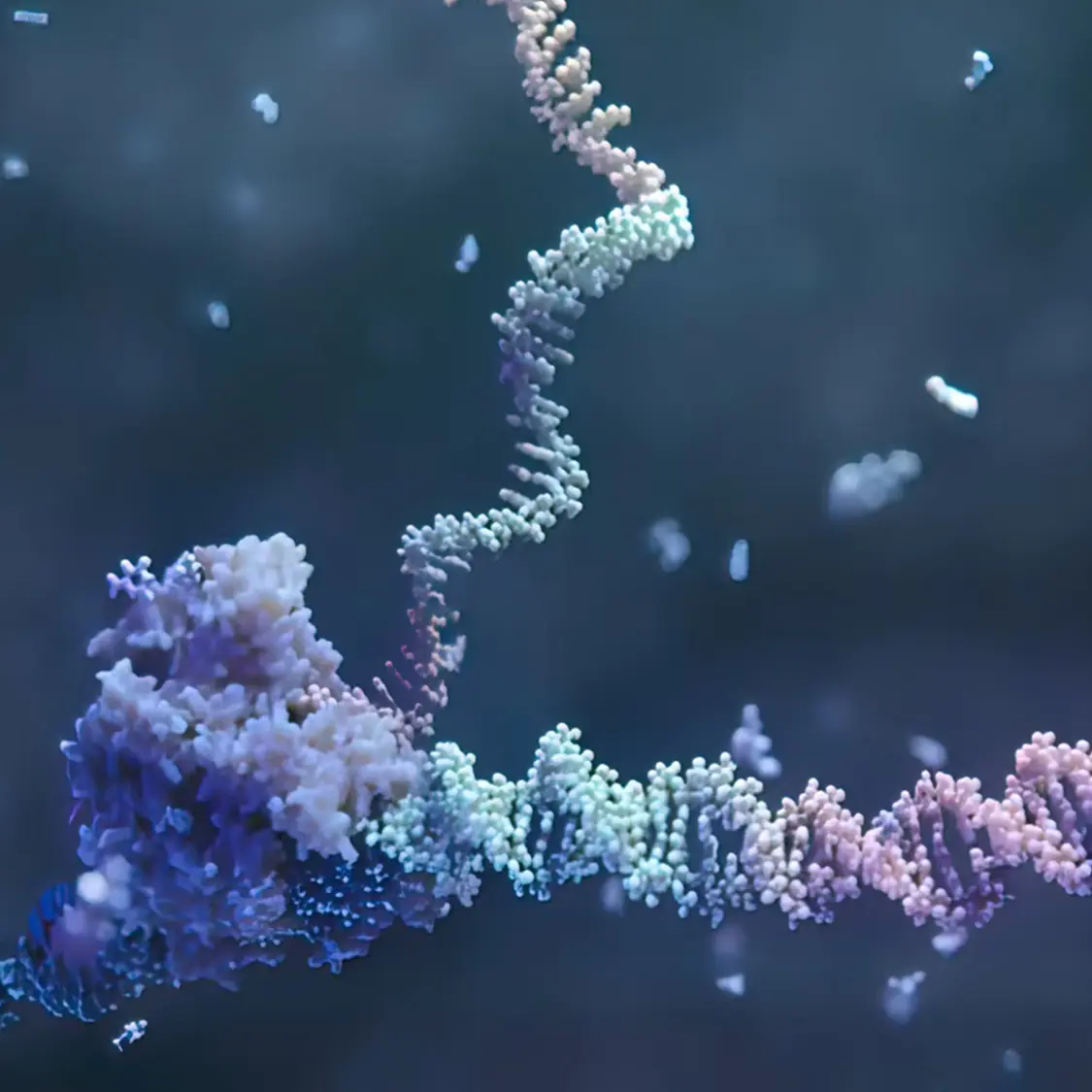 3D rendered image of microRNA interacting with the colorful, twisted DNA strand in a molecular scene..jpg