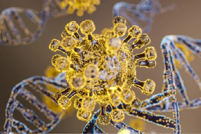 Reporter Cell Line Holiday Promotion