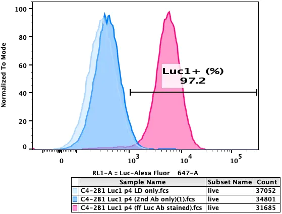 Flow cytometry plot of C4-2B Luciferase Reporter Cell Line, showing luciferase 1 expression to be 97.2%.
