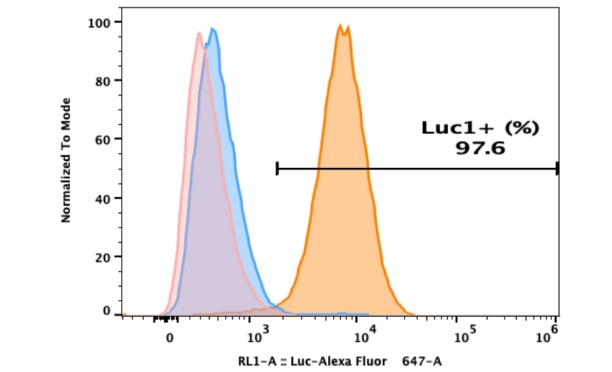 Detection of Luciferase Expression in C4-2B Luc1 Cells by Flow Cytometry