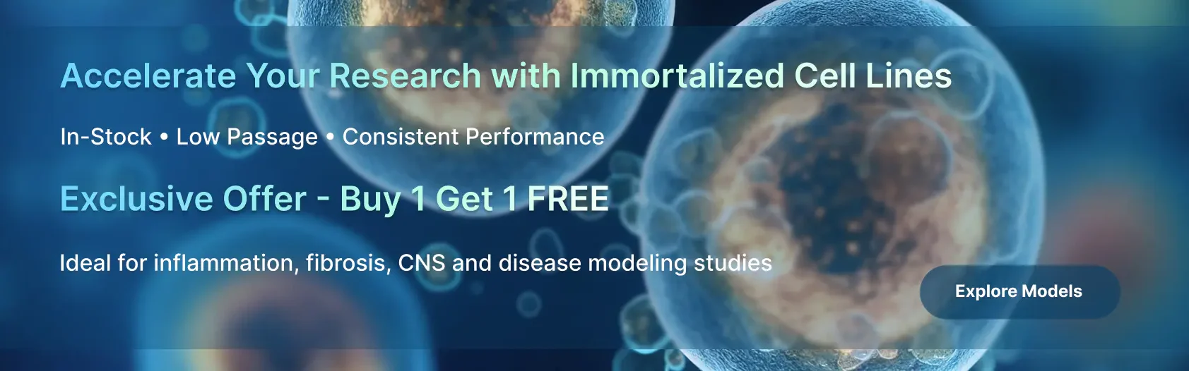 AcceGen Immortalized Cell Lines, Buy 1 Get 1 FREE, ideal for inflammation, fibrosis, CNS and disease modeling research.