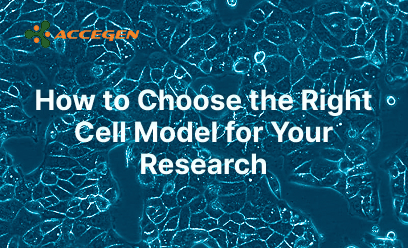 How to Choose the Right Cell Model for Your Research