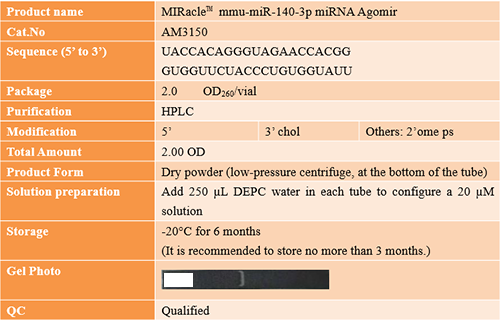 AcceGen success case: MIRacle™ mmu-miR-140-3p miRNA Agomir