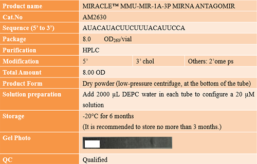 AcceGen success case: MIRACLE™ mmu-MIR-1a-3p MIRNA ANTAGOMIR